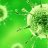 Virus